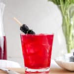 Blackberry mint mocktail5