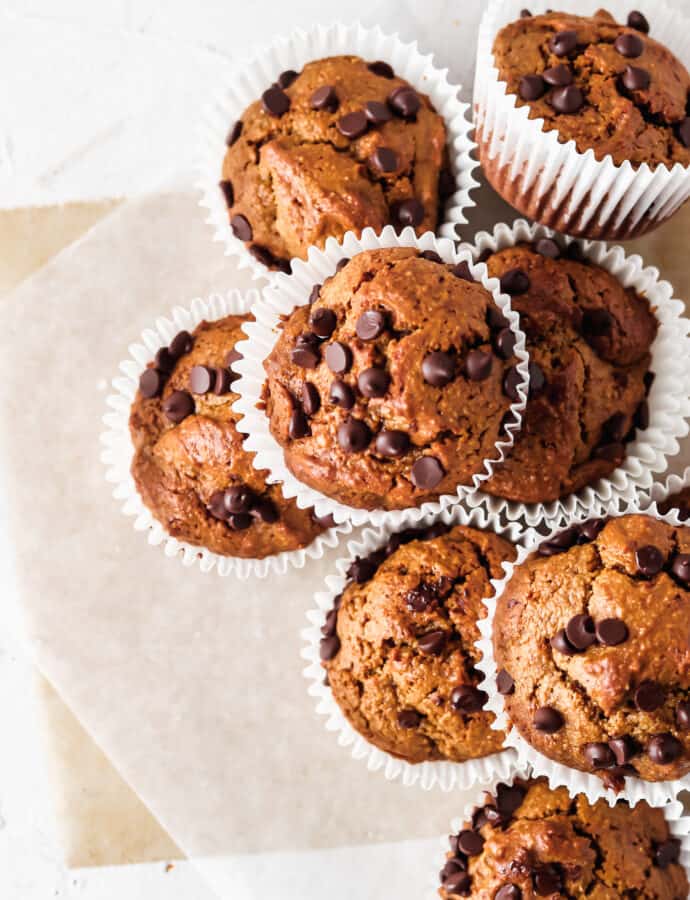 PALEO & Gluten Free Chocolate Chip Muffins