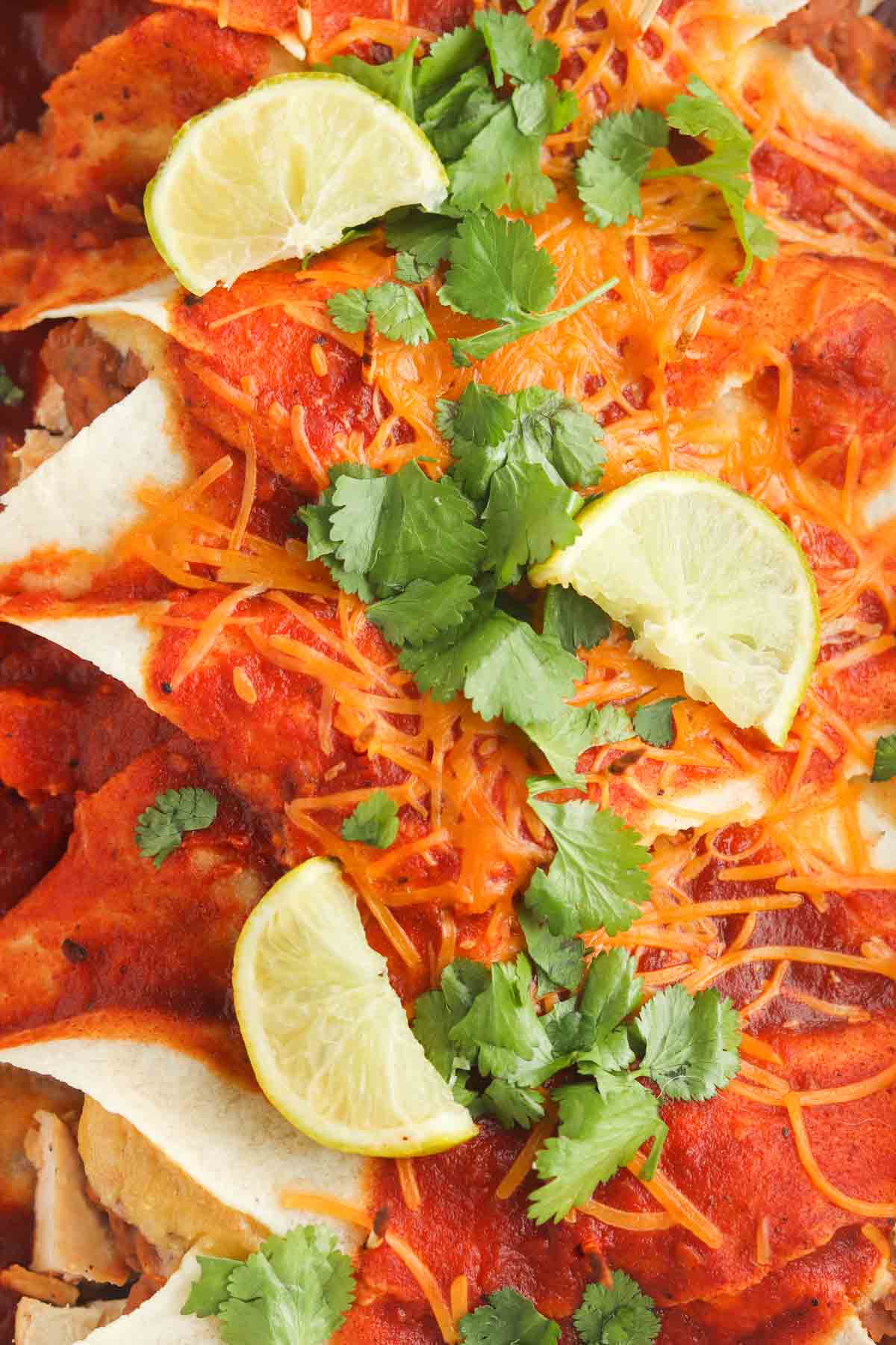 Enchiladas in a casserole dish with a lime, cilantro and dairy free cheese on top.