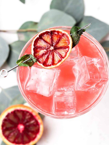 Overhead shot of a blood orange mojito in a glass with a dehydrated blood orange on the edge.