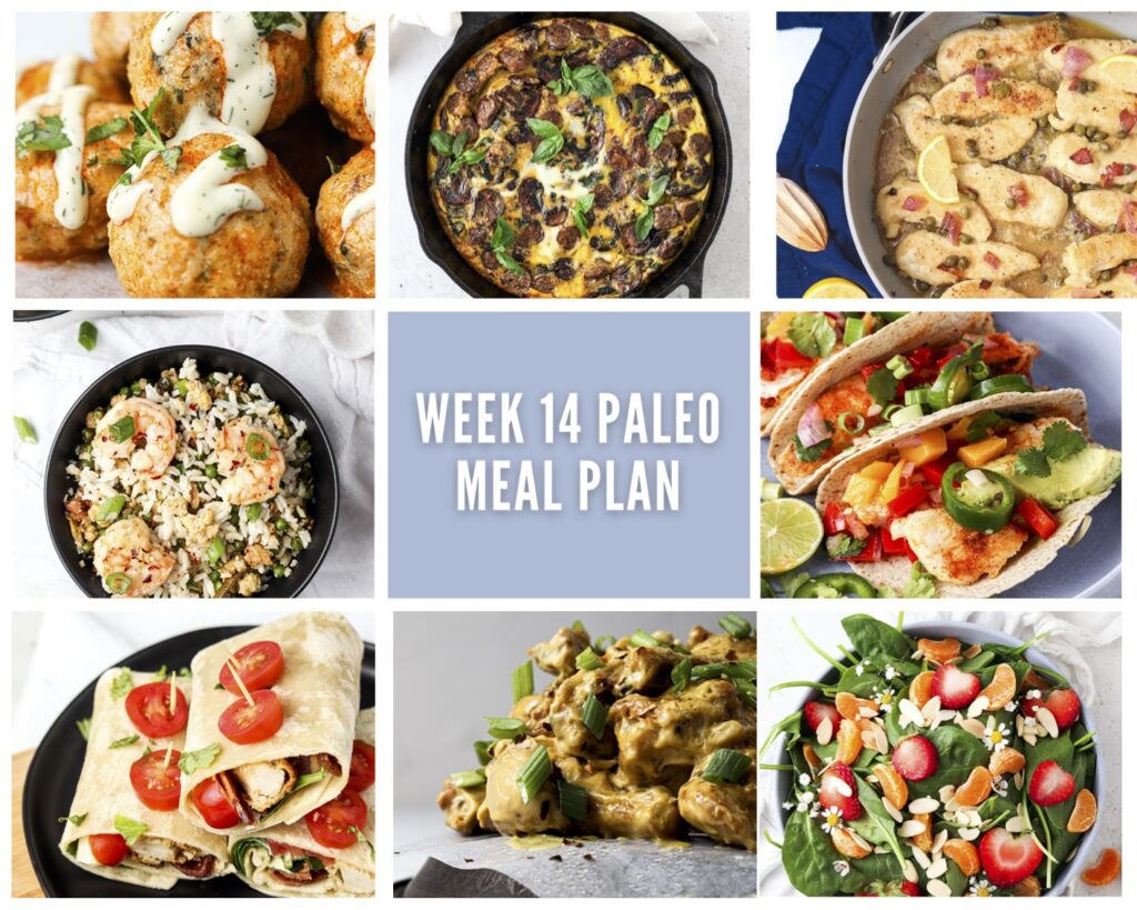 collage picture of seven lunches or dinners with one breakfast with pale purple backdrop