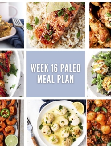 Week 16 Paleo Meal Plan