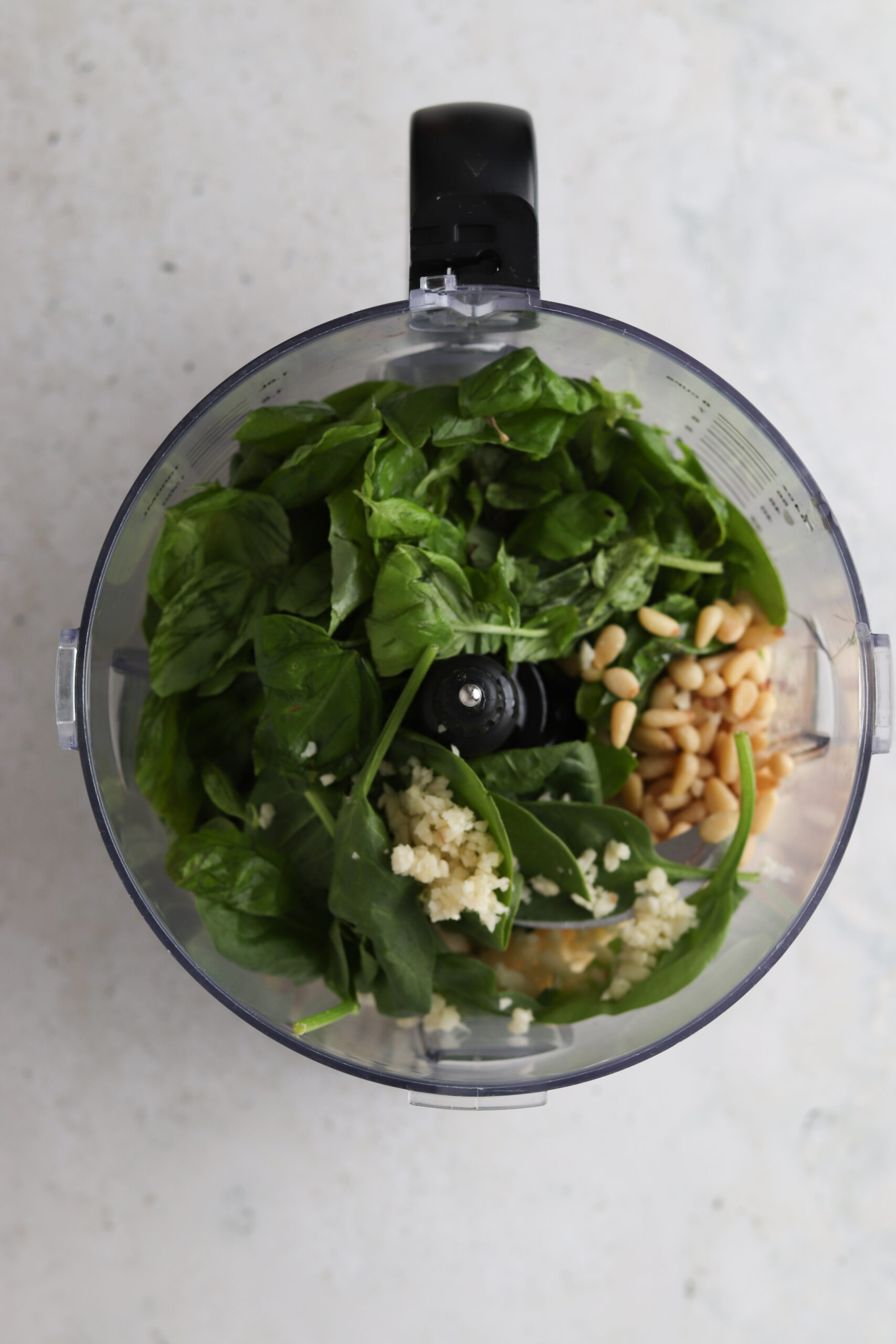 Pesto ingredients in a food processor base. 