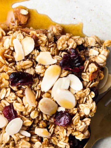 cranberry oat bars in a plate with a gold fork