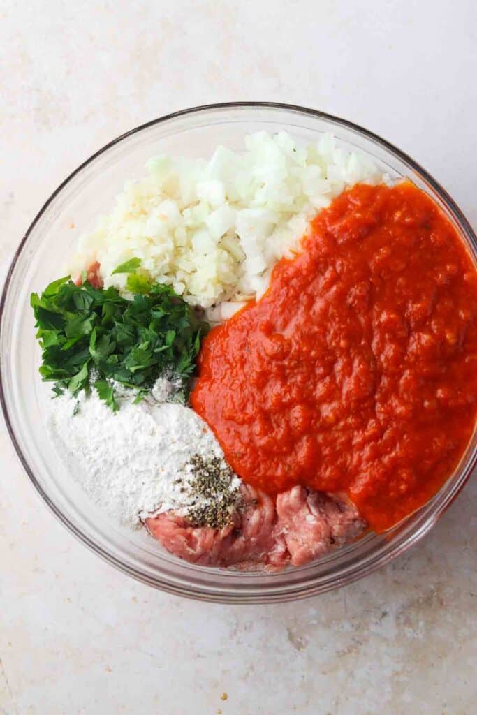 Beef, tomato sauce onions, flour, herbs in a bowl ready to be mixed.