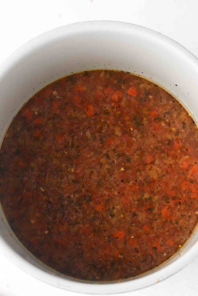 ingredients in the instant pot