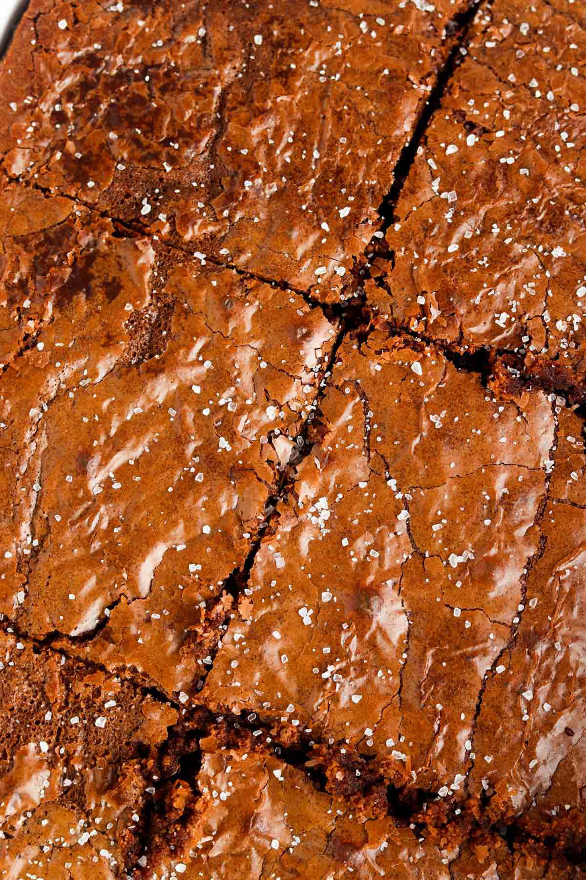 6 gluten free brownies cut up in a baking dish.