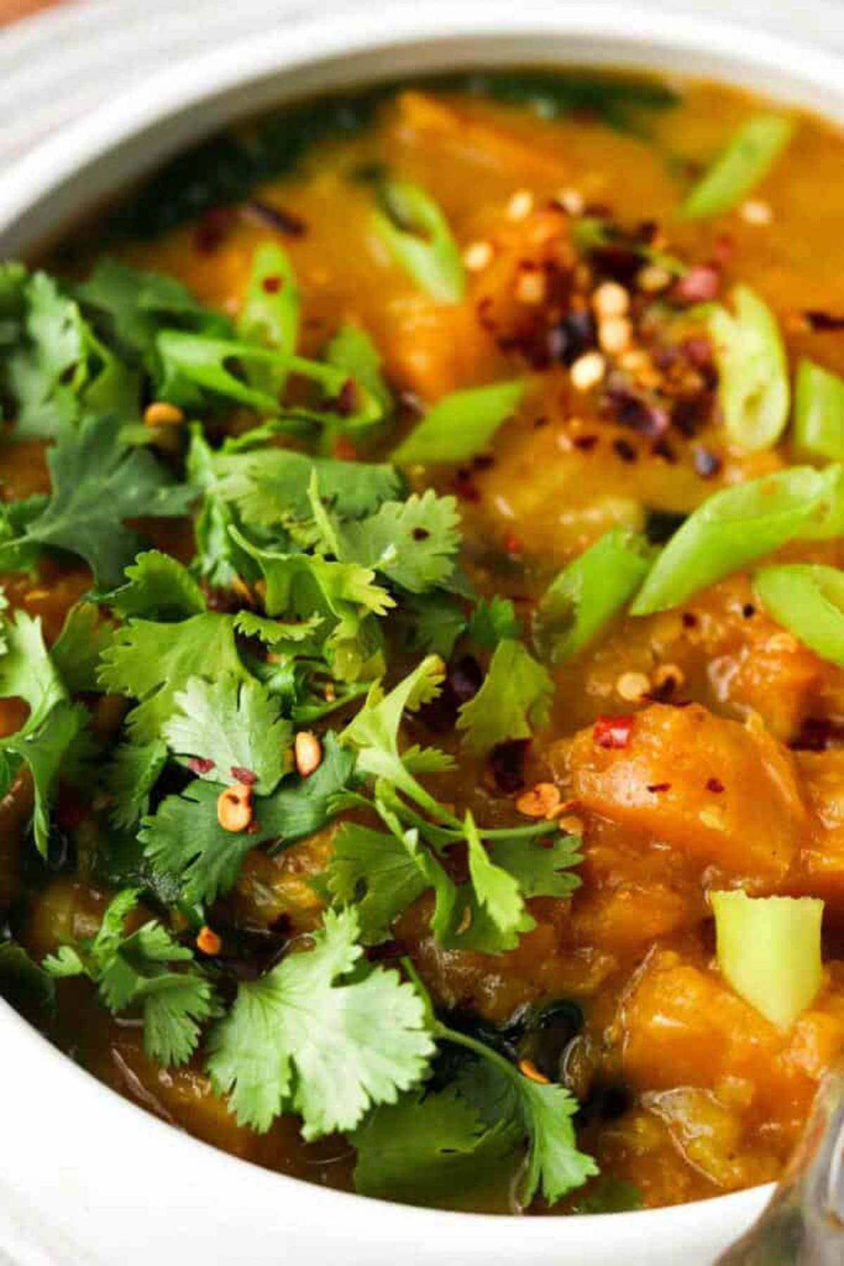 Butternut squash curry in a bowl with fresh green onions and red pepper flake garnish.