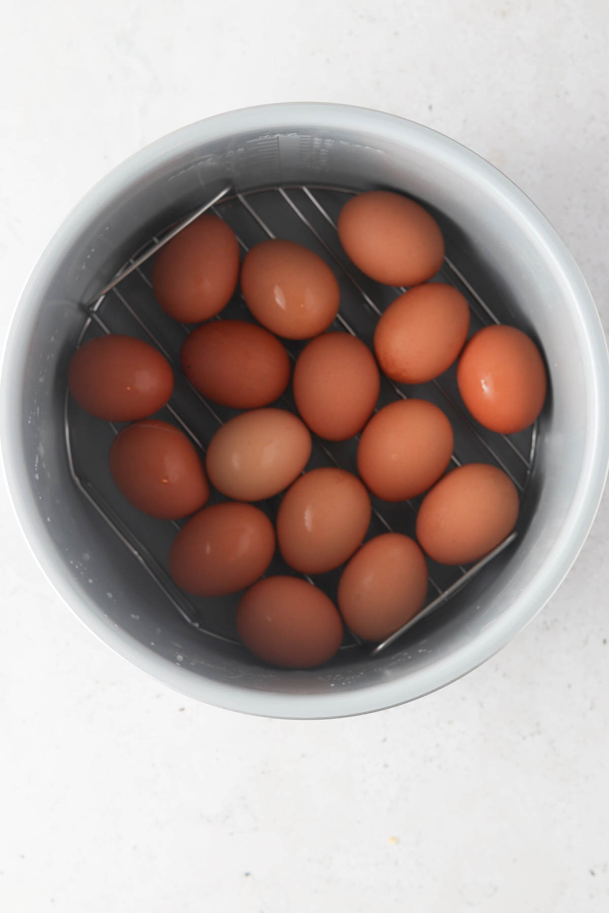 Eggs and water in an instant pot container. 