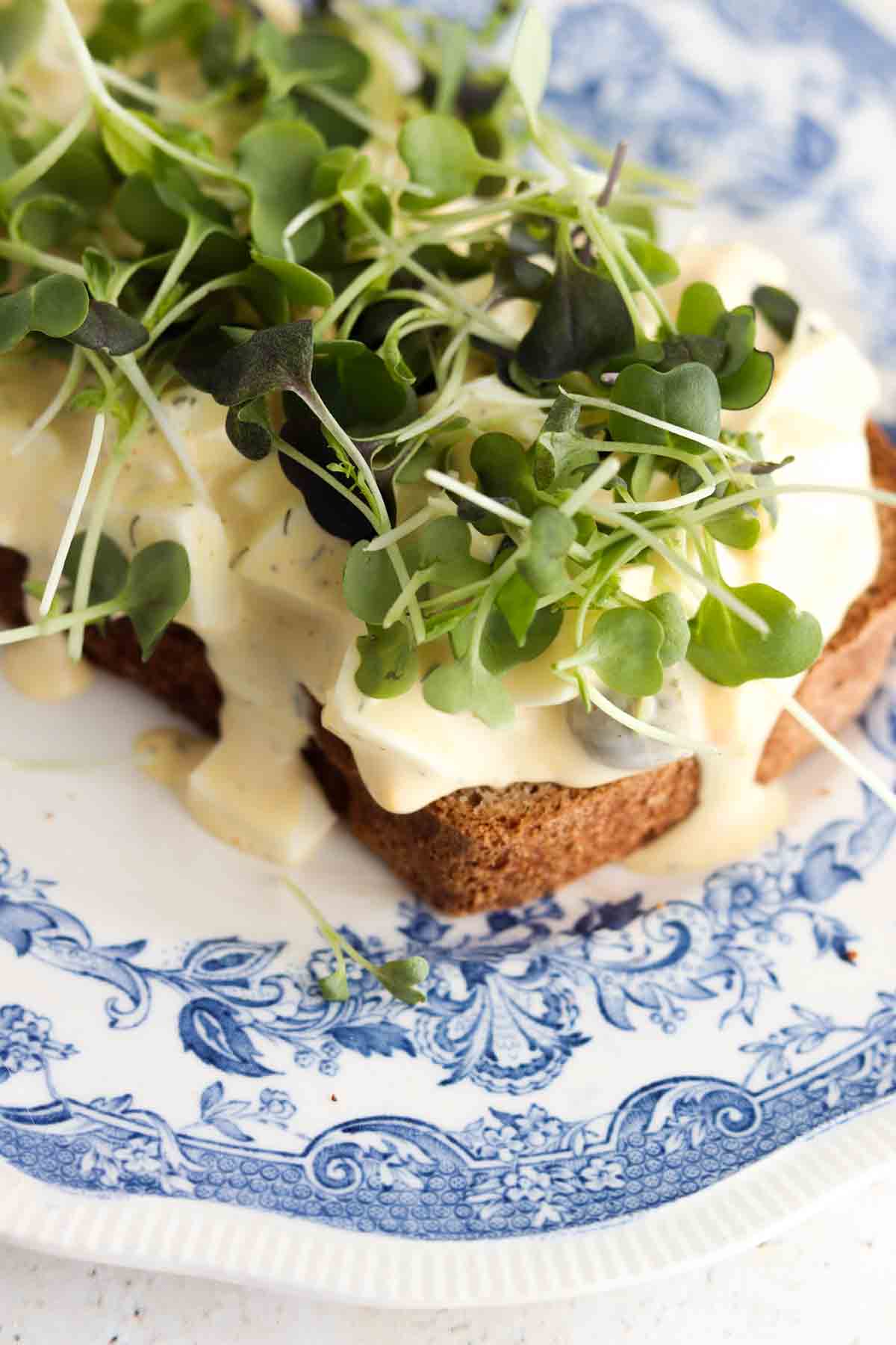 Egg salad on toasted bread with fresh microgreens on top.