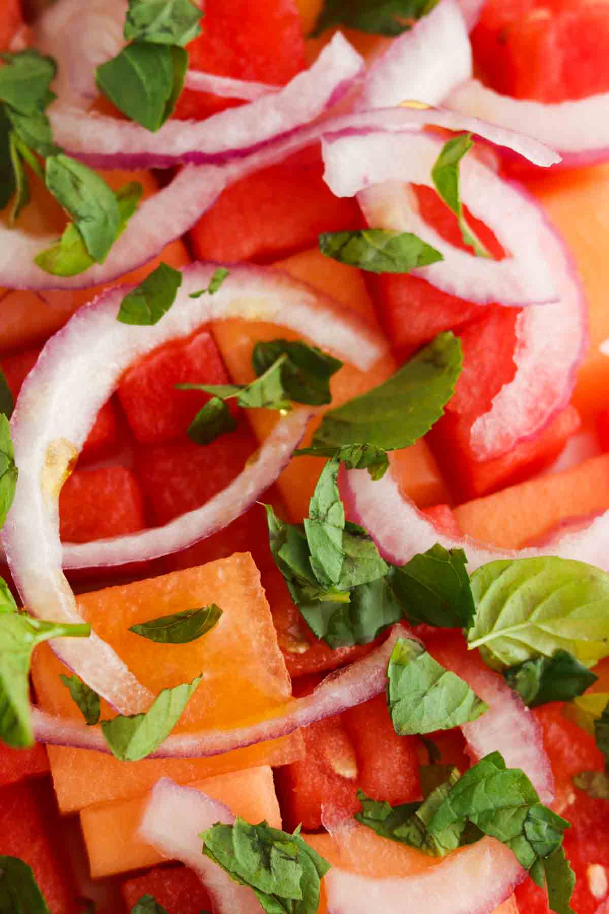 Close up photo of cantaloupe, watermelon, mint and onions.